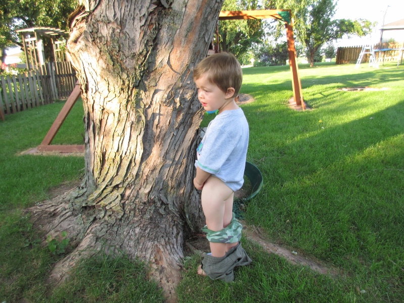 Something and Brother piss tree Brother piss tree opinion you